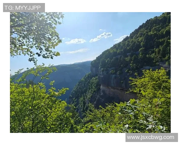 VCTWOLYosemite探秘之旅：畅游自然与科技交融的绝美风景